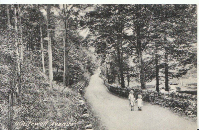 Lancashire Postcard - Whitewell Avenue - Ref 7587A 