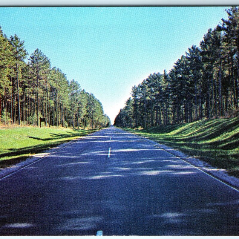 c1960s Pub Grand Rapids, MN Avenue of Pines Highway Scenic Trees Chrome PC A315