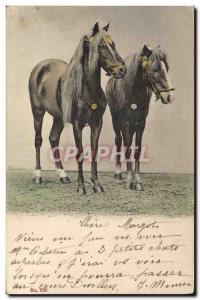 Old Postcard Equestrian Horse Riding