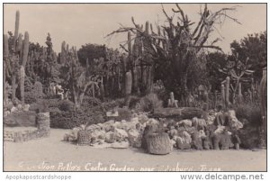 Section Of PIrtle's Cactus Garden Near Edinburg Texas Real Photo