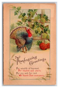 Thanksgiving Greetings Turkey Grape Vine at Harvest UNP Unused DB postcard V17