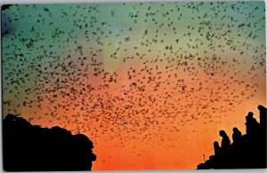 Bat Flight From Entrance Carlsbad Caverns National Park NM Vintage Postcard G30