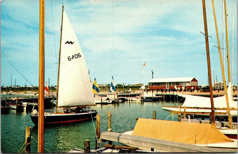 Vtg Sailboats Setting Sail from Marina Dewey Beach Delaware DE Unused Postcard