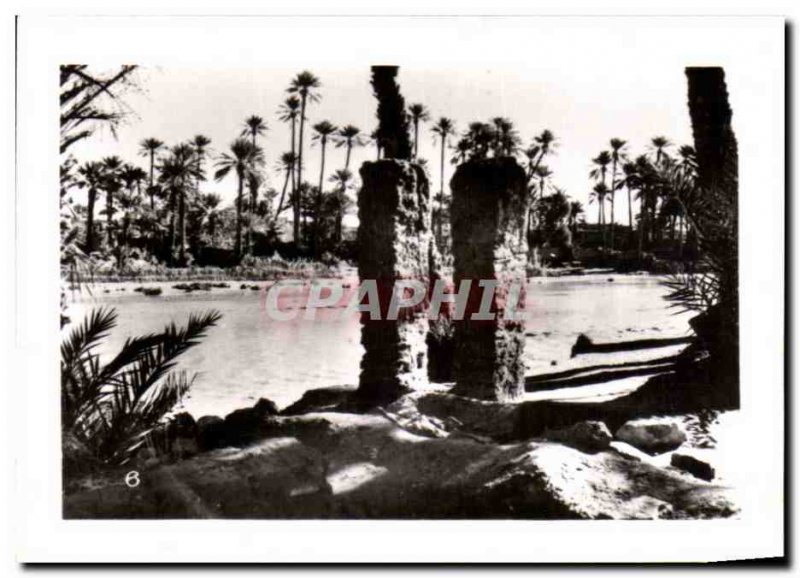 Modern Postcard Colomb Bechar Sri Lanka Ceylon Ceylon