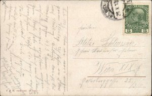 Arthur Thiele 1423 Kitty Cat Fantasy Knitting in Class Classroom c1910 Postcard