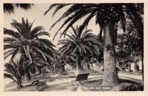 San Remo Italy 1930-40s RPPC Real Photo Postcard Park Palm Trees