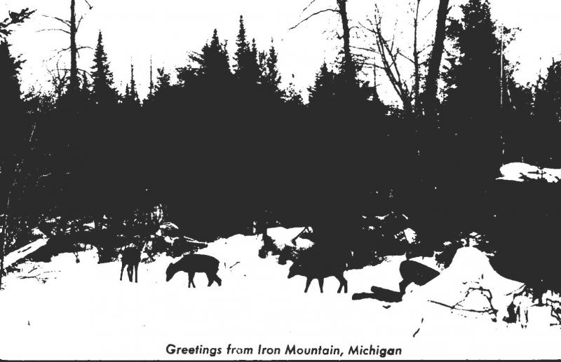 Michigan Greetings From Iron Mountain Deer Herd Real Photo