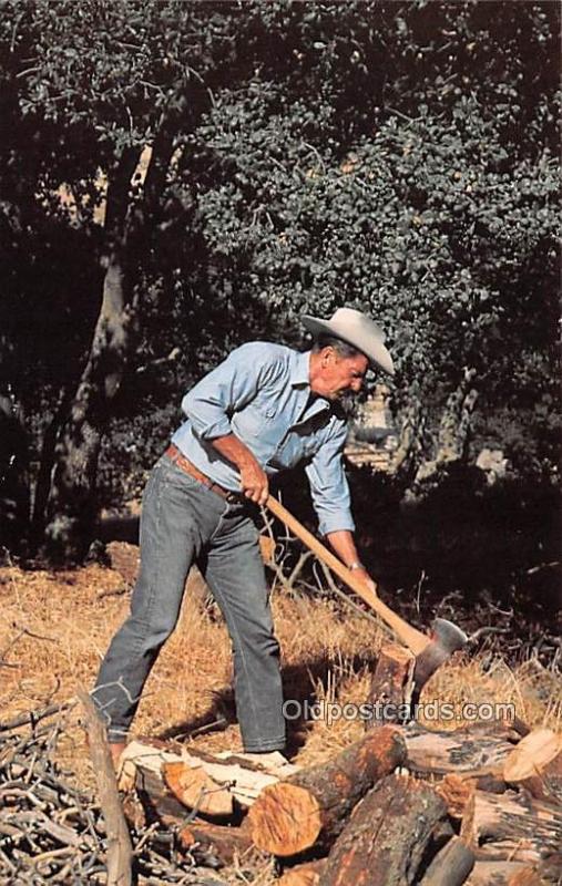 Ronald Reagan, Chopping Wood Movie Star Actor Actress Film Star Postcard, Old...