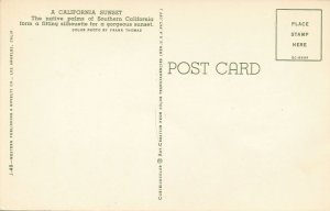 Native Palms the a Gorgeous Southern California Sunset