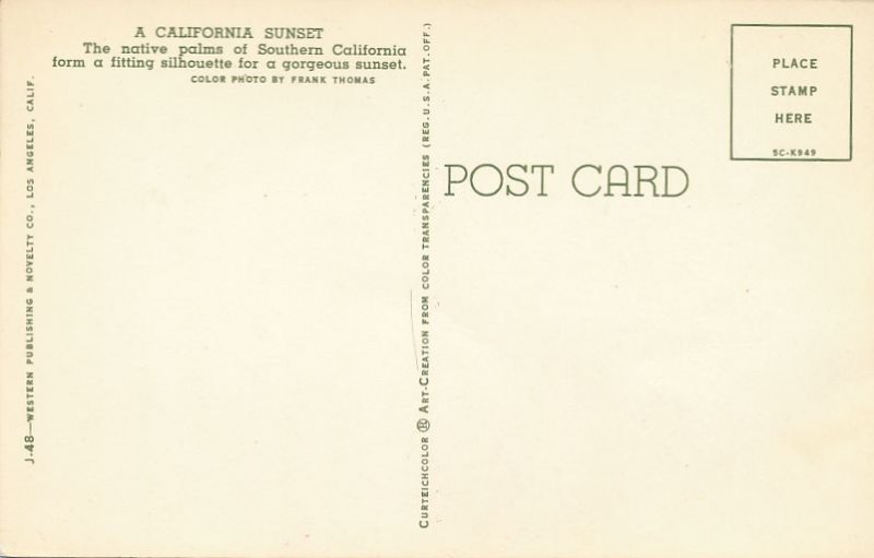 Native Palms the a Gorgeous Southern California Sunset