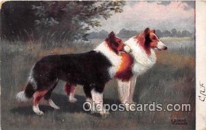 E Dorno Munchen Collie Dog 1911 