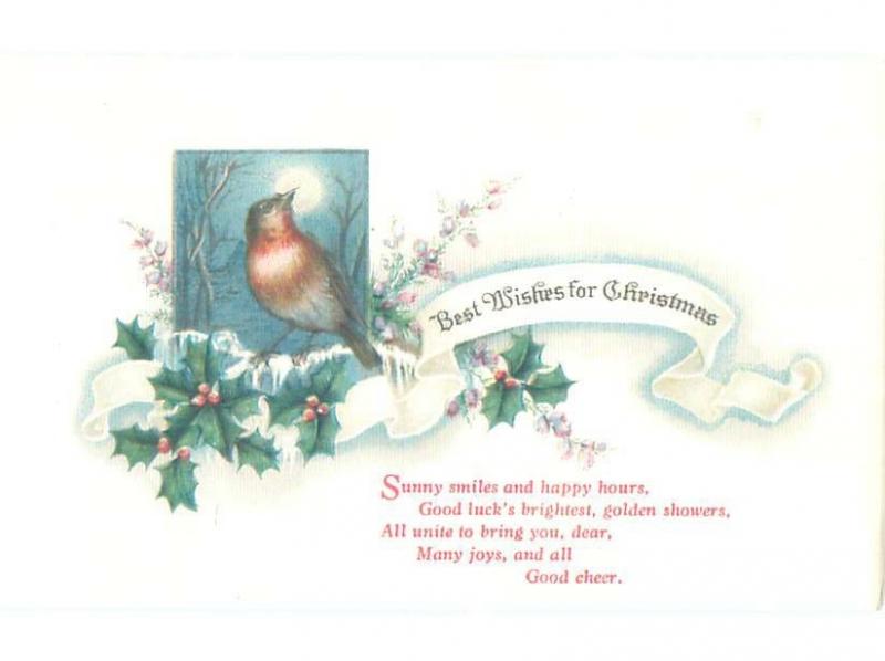 Divided-Back CHRISTMAS BIRDS SCENE Pretty Postcard W8515