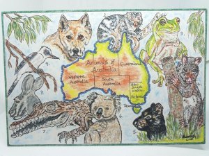 Animals of Australia Vintage Postcard Design by Pamela Bassett 1990s