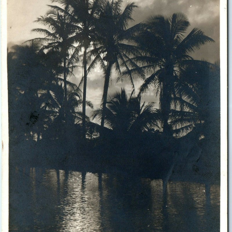 c1900s Odd Tropical Sunset RPPC Palm Trees Real Photo Postcard Spooky Weird A59