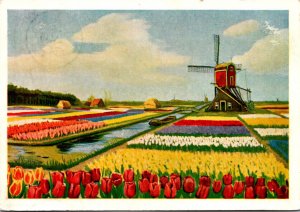 Netherlands Sassenheim Greetings Time To Order Bulbs F H Woodruff & Sons Tole...