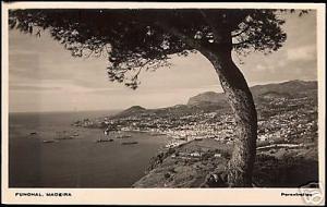 portugal, MADEIRA, Funchal, Panorama (1930s) RPPC