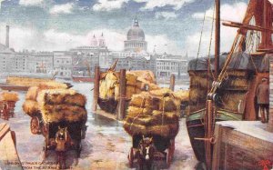 Straw Wharf St Paul's Cathedral London England UK 1910c Tuck postcard