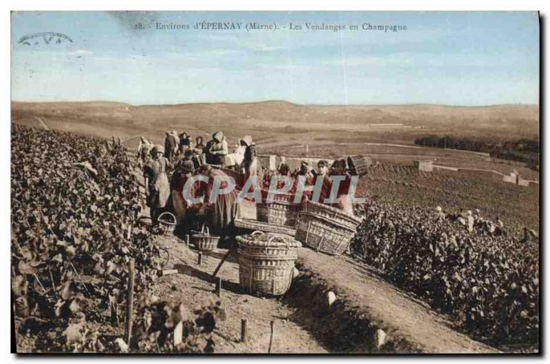 Postcard Folklore Old Vine Wine Harvest Champagne Surroundings d & # 39Epernay