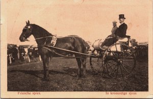 Netherlands Friese Sjees In Kromsidige Sjeas Horse Friesland Postcard C209