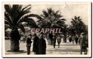 Postcard Old Split Palme na Francuskoj Obali