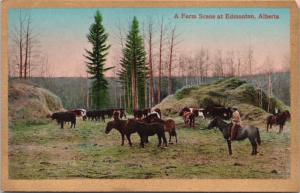 Farm Scene Edmonton AB Alberta Horses Cattle Rancher Unused Antique Postcard E25