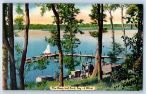 1940 Biloxi Mississippi Postcard Scene Along Back Bay Evergreen Waters Edge