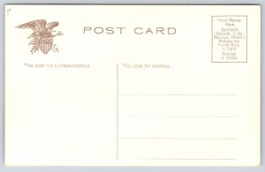 State Capitol~Side View State Seal Tallahassee Florida~IPCC c1910 Vintage Postca