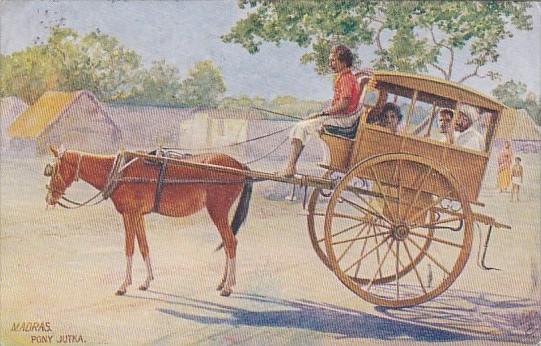 India Madras A Pony Jutka 1912 Tucks