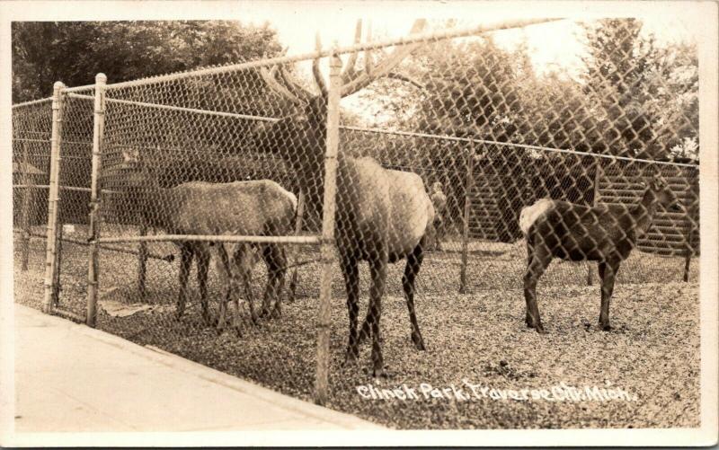 Traverse City Michigan~Elk & Deer in Clinch Park Behind High Fence~1950s RPPC 