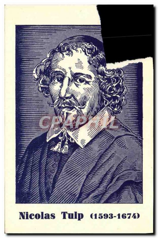 Old Postcard Nicolas Tulip 1593 1674