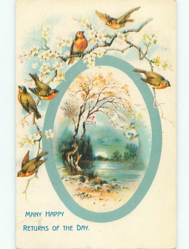 Divided-Back BIRDS SCENE Pretty Postcard AA9092