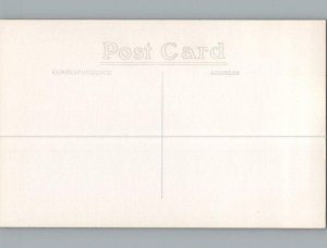 RPPC Postcard Trinity Reformed Church Allison Iowa