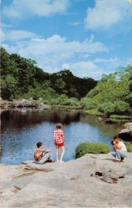 SPRINGDALE ARKANSAS PSTMK~NATURAL BEAUTY OF OZARKS~STYLISH CLOTHES POSTCARD 1962