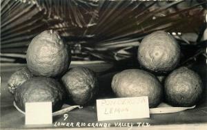 Citrus Ponderosa Grande Valley Texas 1920s Farm Agriculture RPPC Postcard 1088