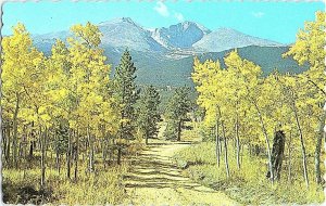 Long's Peak Estes Park Colorado Vintage Postcard Standard View Card 