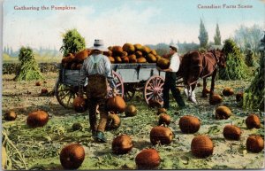 Gathering the Pumpkins Pumpkin Farming c1909 Calgary & Edmonton RPO Postcard E80