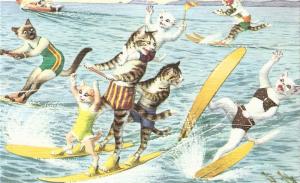 \Water Skiing\ Mainzer Dressed Cats PC #4972