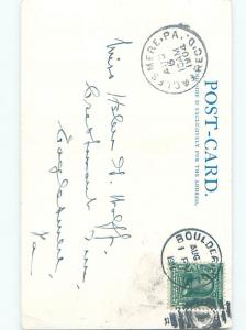 Divided-Back ANIMAL SCENE Great Postcard AA9599