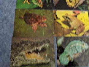 Lot 9 Unused Animals Frogs Turtles Snakes Postcrossing 4x6 MINT postcard L159