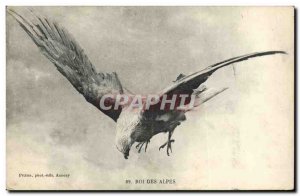 Old Postcard Birds of Prey King of the Alps