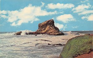 Surf Breaker Misc , Oregon OR  