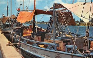 Sponge fishing boats docked Tarpon Springs, Florida