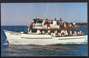 Florida KEY WEST Deep Sea Fishing aboard the big MUSTANG 11 - Chrome