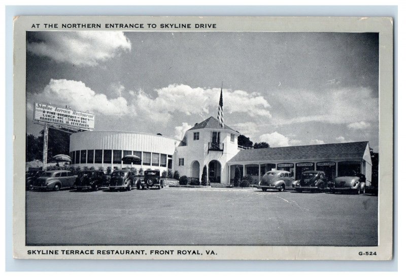 Vintage Skyline Terrace Restaurant Front Royal Virginia Cars Sign Postcard P141