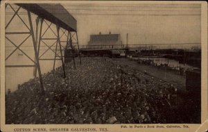 Galveston Texas TX Cotton Scene c1910 Vintage Postcard