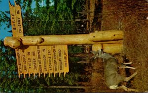 Canada Banff National Park Mule Deer and Rustic Directional Sign 1963