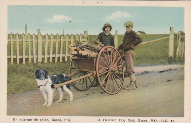 Canada Gaspe A Habitant Dog Cart