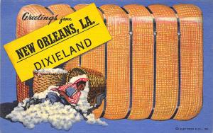 New Orleans LA Dixieland Young Boy Curt Teich Linen Postcard
