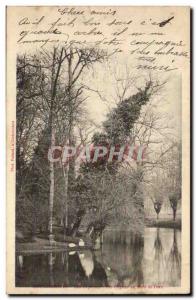 Coulsdon - Swans at Waterfront & # 39eau - Old Postcard