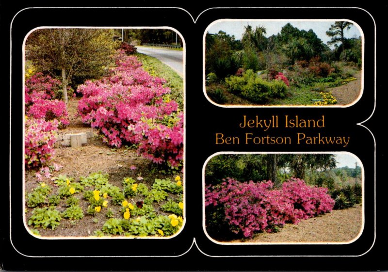 Georgia Jekyll Island Multi View Ben Fortson Parkway